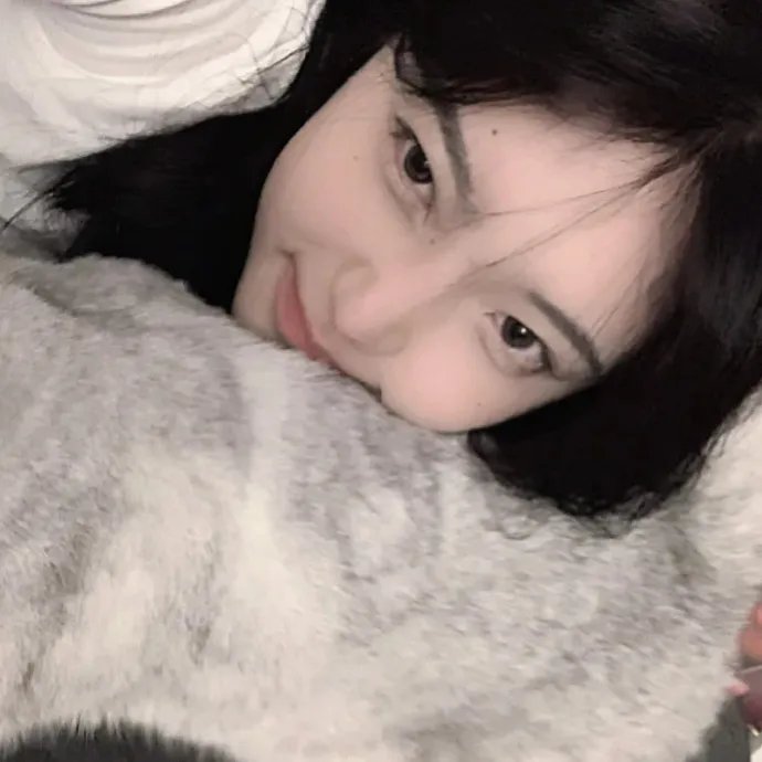 慈膳救援